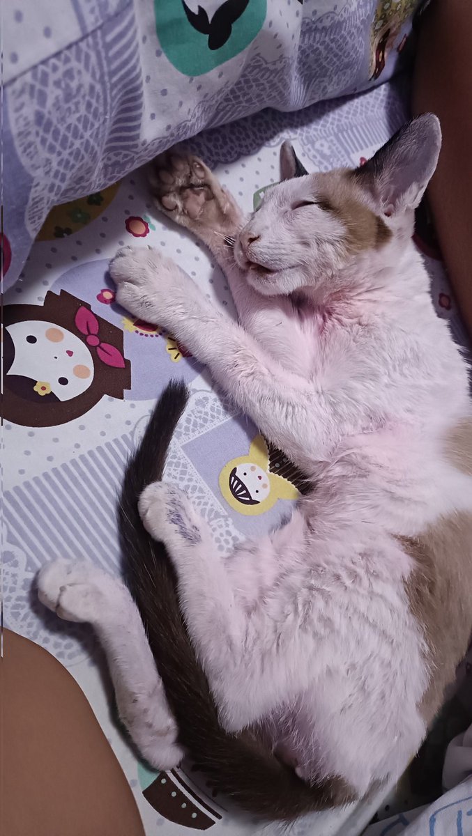 thichaaaaaaaaaaaa tweet media