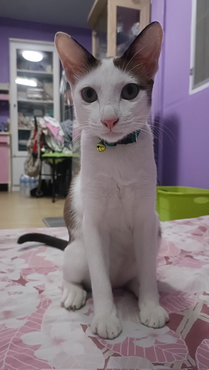 thichaaaaaaaaaaaa tweet media