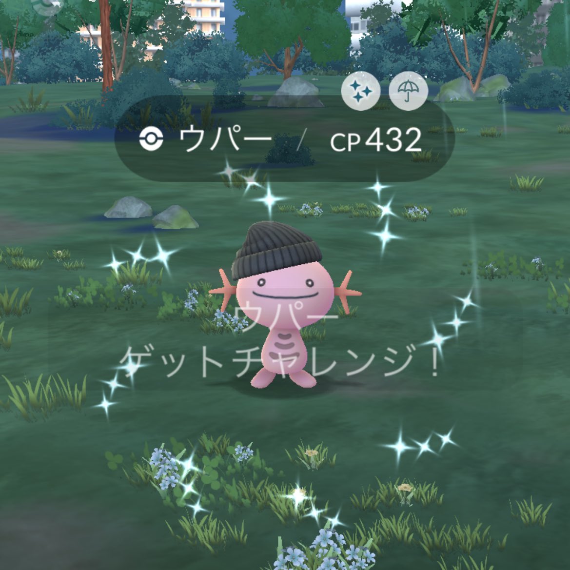 ヒナ🐣5/29~6/1 東京 tweet media