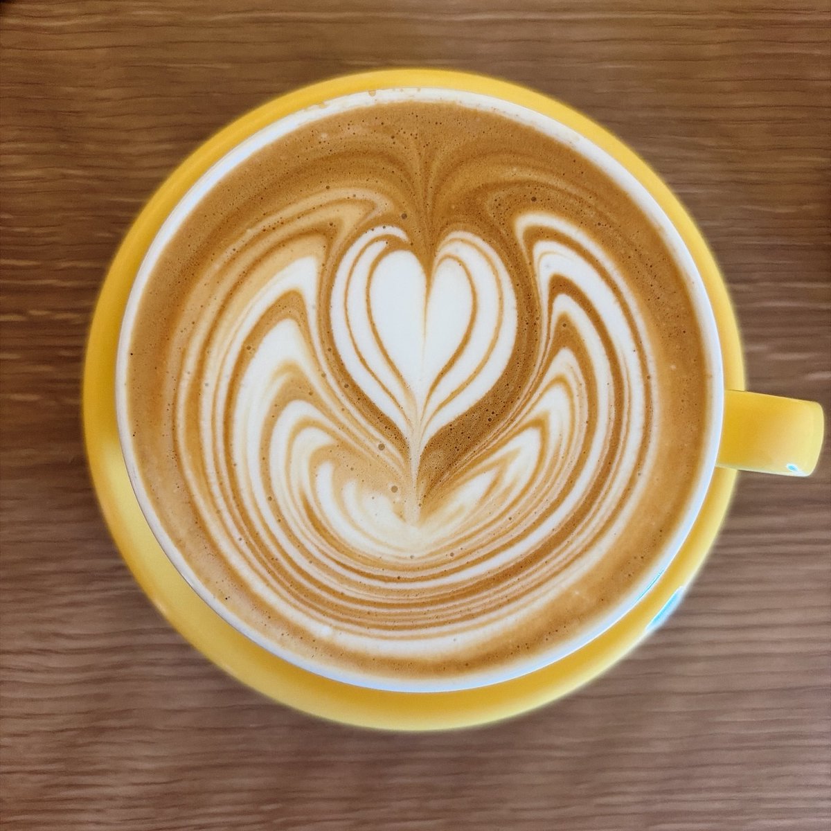 CafeNorino's tweet photo. 天気が良くないなんて全然気にしない！ https://t.co/UpX1pILGXH