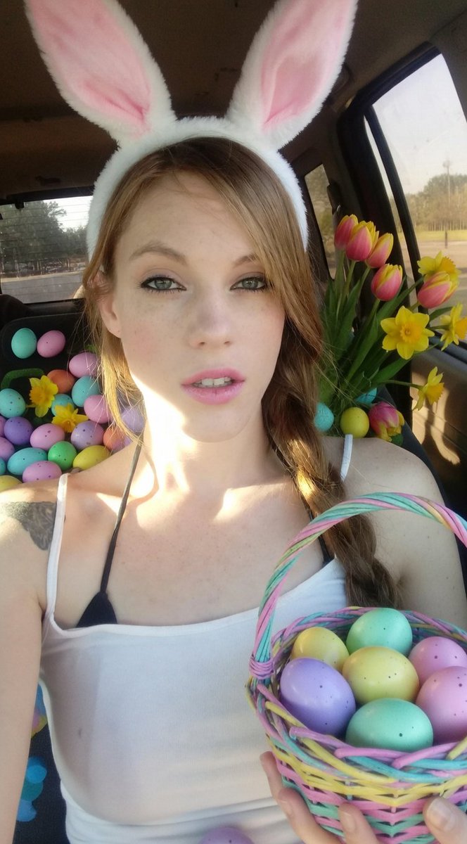 Primo Dicks tweet media