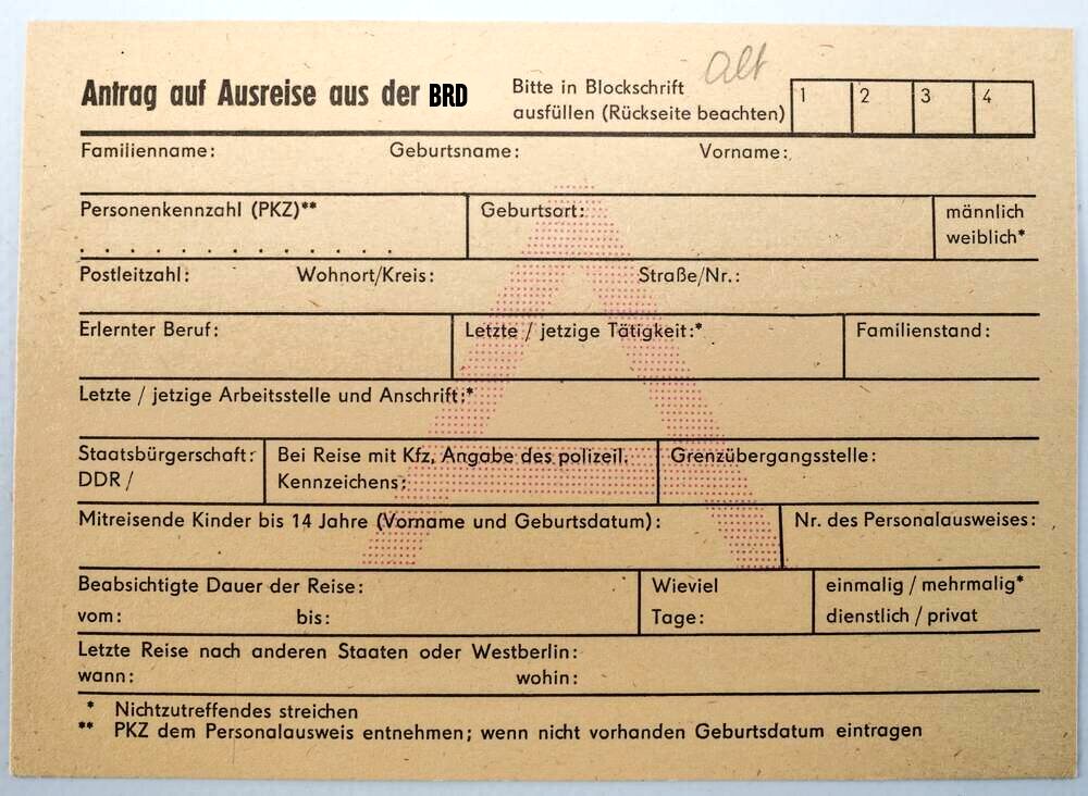 Liberty Hannes tweet media