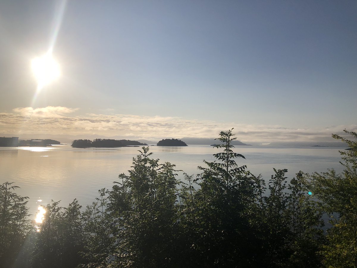 gambetta763's tweet photo. Woke up to sun through pine trees, sips of hot cocoa, and no plans—just nature’s playlist. Perfect camping reset  #WildernessVibes #CampLife https://t.co/N6Rh5R57DS