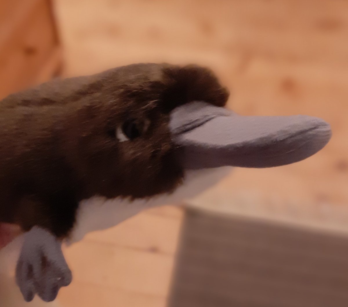 Erde&Sand tweet media