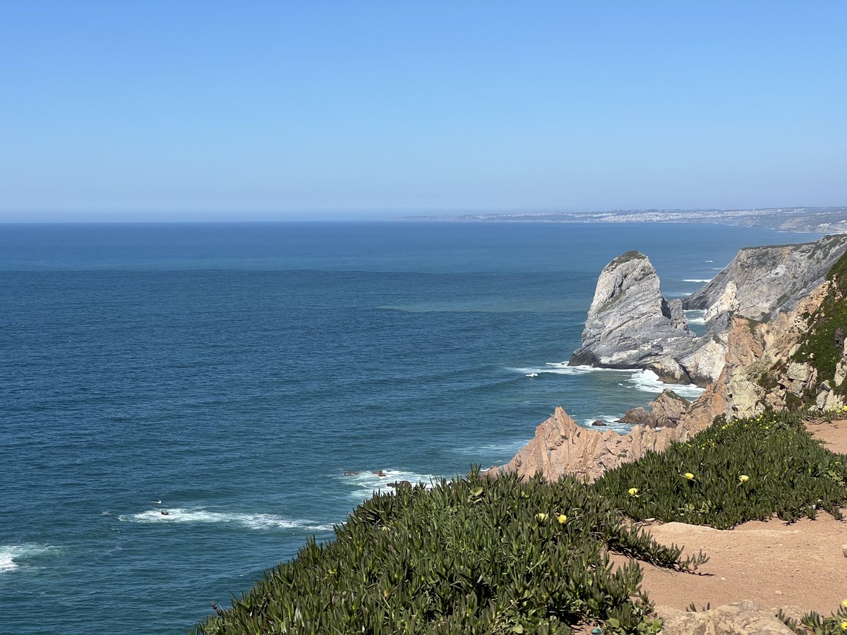 せりこ@女1人で世界中ふらふらしてます。 tweet media