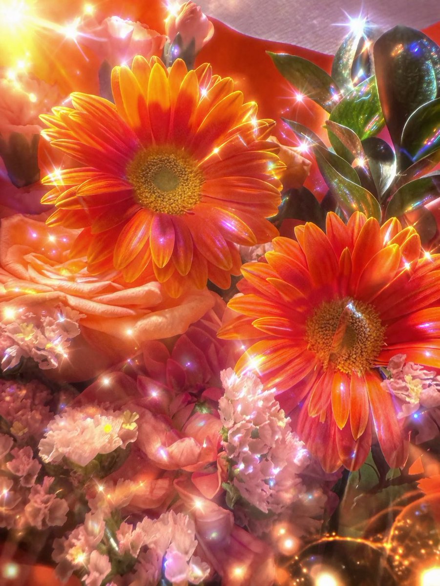 🌈🎪🦄RYO KATO |加藤諒 🦄🎪🌈 tweet media