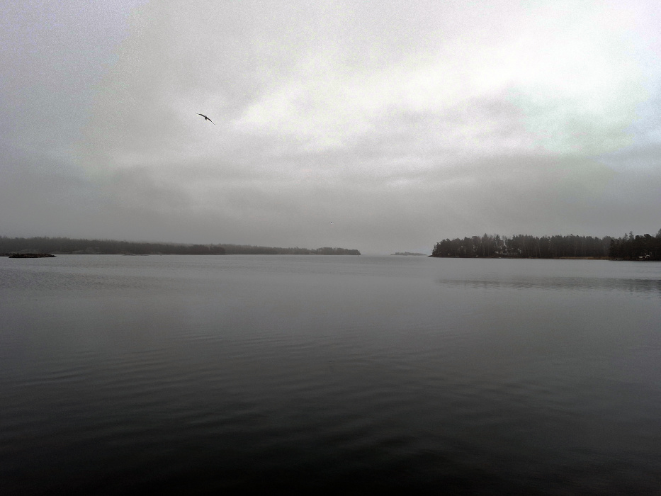 Mika Lappalainen tweet media