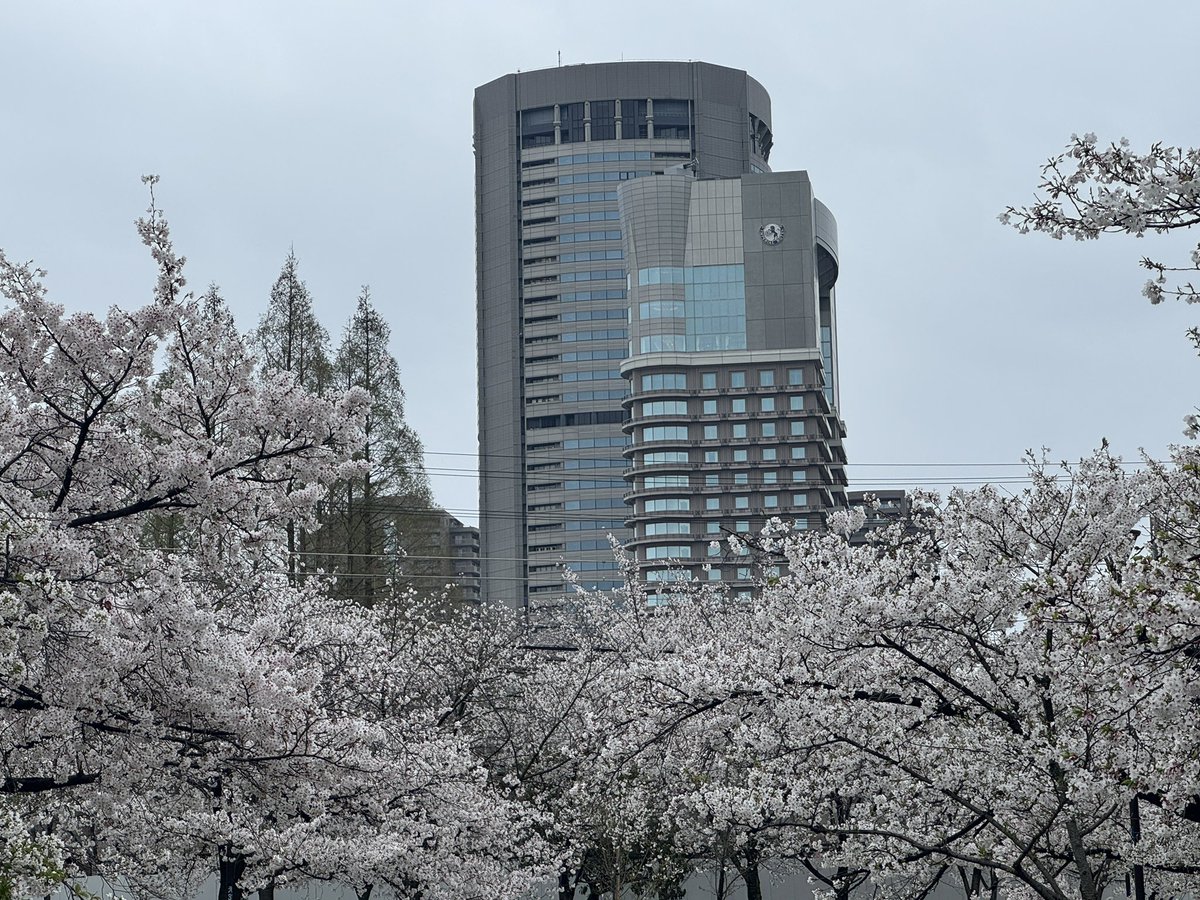 ちんにい tweet media