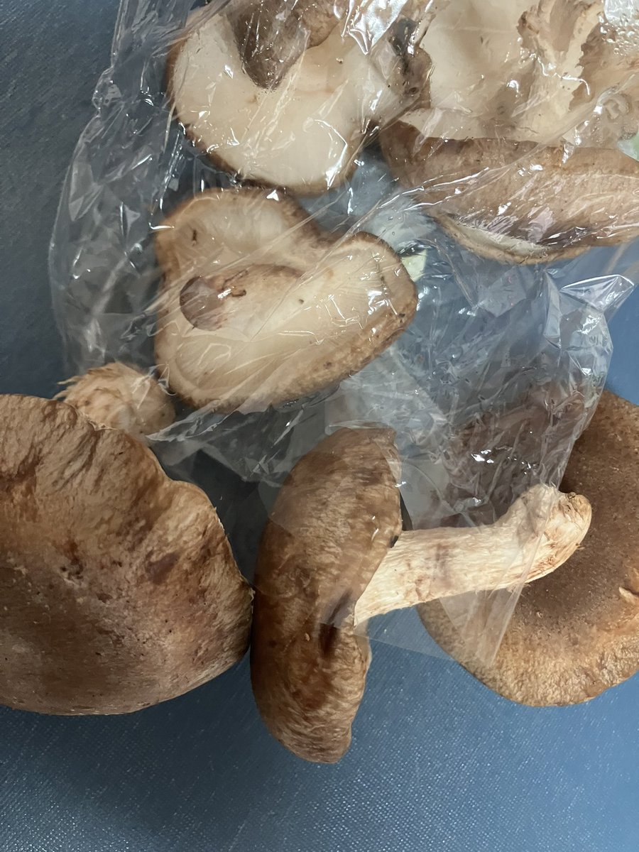 鴨つけ汁蕎麦 tweet media