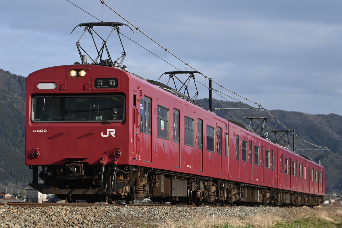 自称メロンの王🌸(5/30 Wishing Umbrella参戦) tweet media