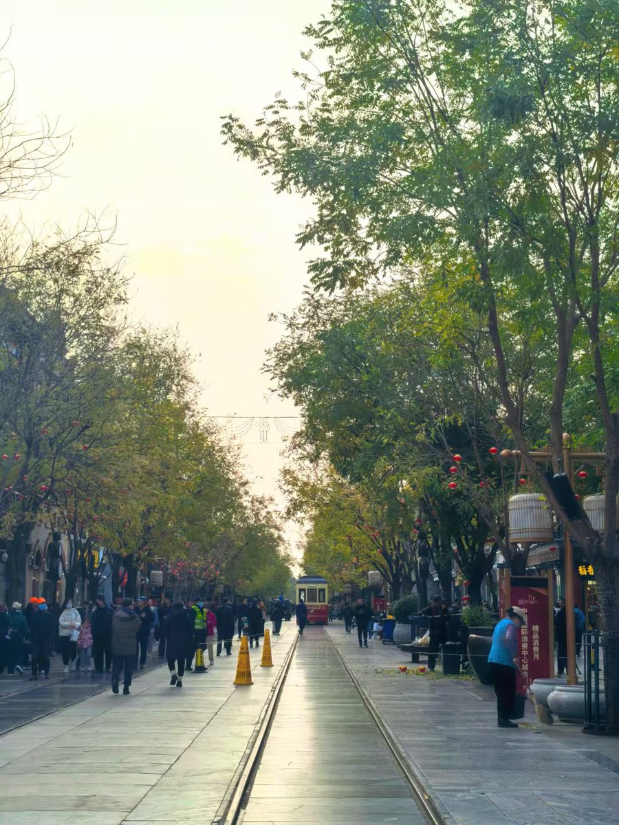 代维（Davi）（互fo） tweet media