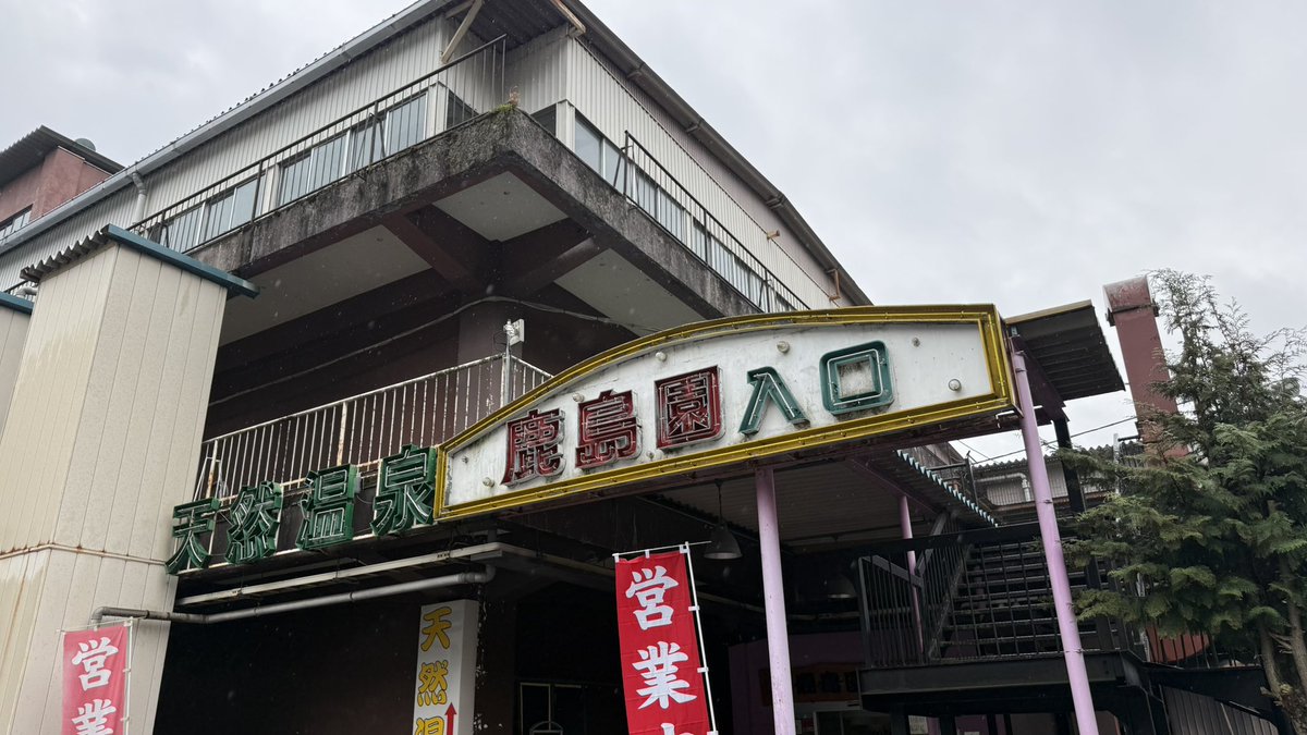 ネロネロさんご tweet media