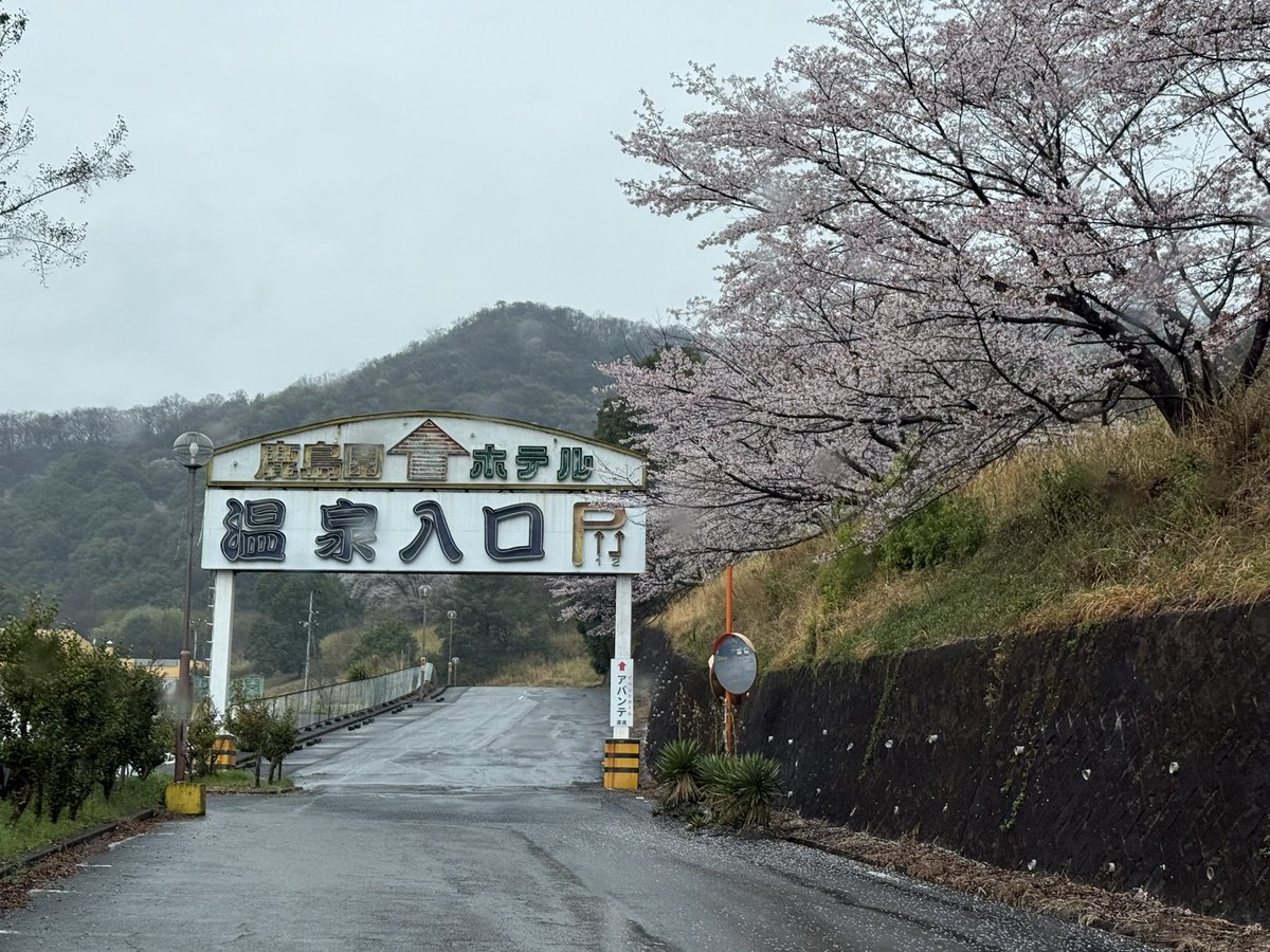 ネロネロさんご tweet media