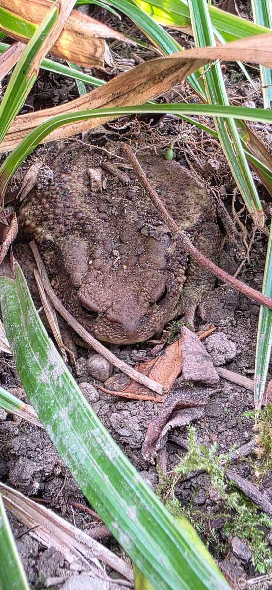 Janez Pogorelec tweet media