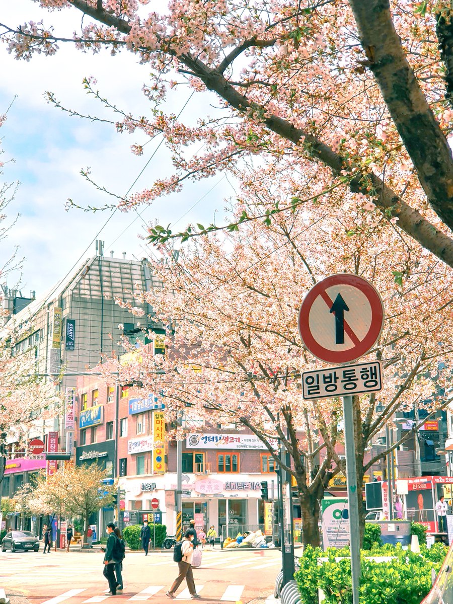 서 너머 tweet media