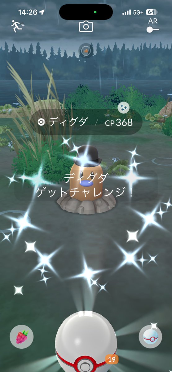 まいねー@GO Fest東京5/30PM参戦 tweet media