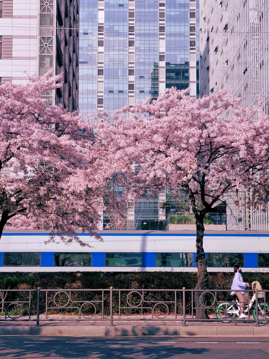 서 너머 tweet media