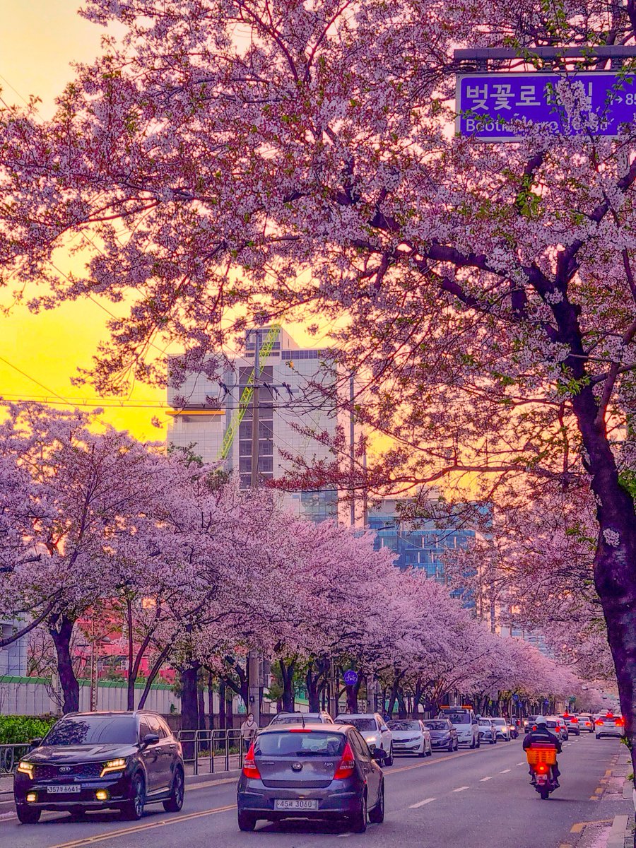 서 너머 tweet media