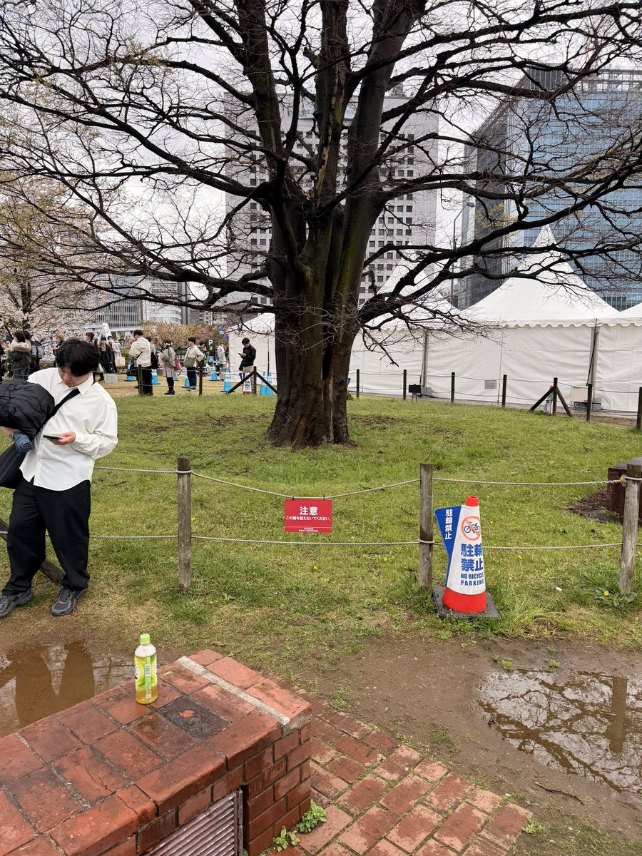 うまさし ｜4/4,5 ハマスタ｜5/24 新潟 tweet media