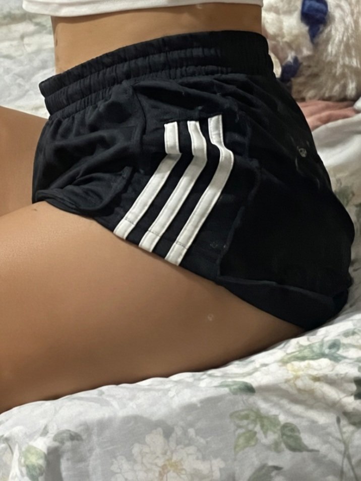 Luna Regia tweet media