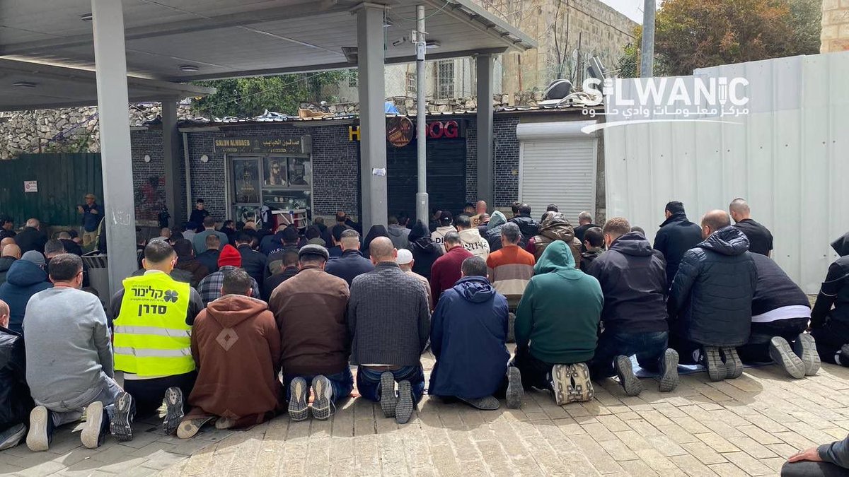 Fadel Soliman فاضل سليمان tweet media