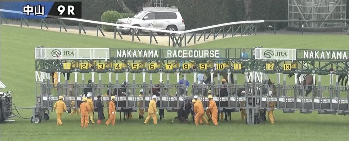 夢子|競馬未来予想図 tweet media