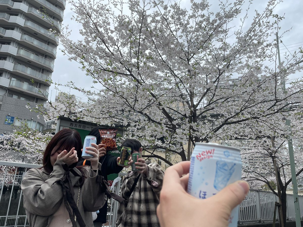 n_plastics's tweet photo. 良い写真か〜 https://t.co/f8qxZDtHAn