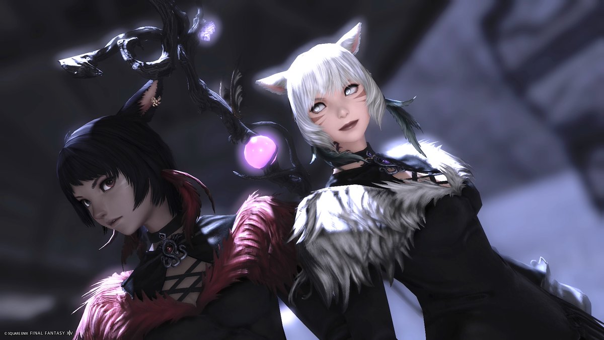 サヤさんぽ tweet media