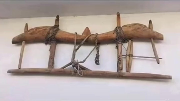 Asmavia Chaudhary🇵🇰 tweet media