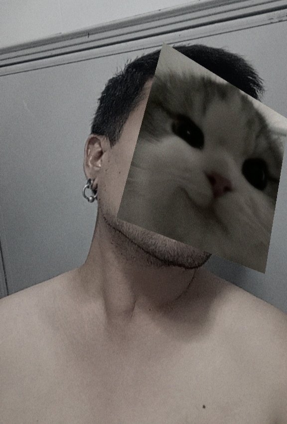 𝚀𝚞𝚎𝚜𝚝𝚒𝚘𝚗𝙼𝙰𝚁𝙺 tweet media