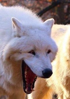 Ana_LaPatata tweet media