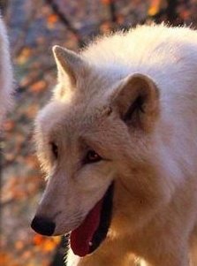 Ana_LaPatata tweet media