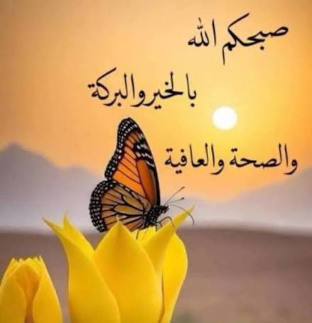 رونق tweet media