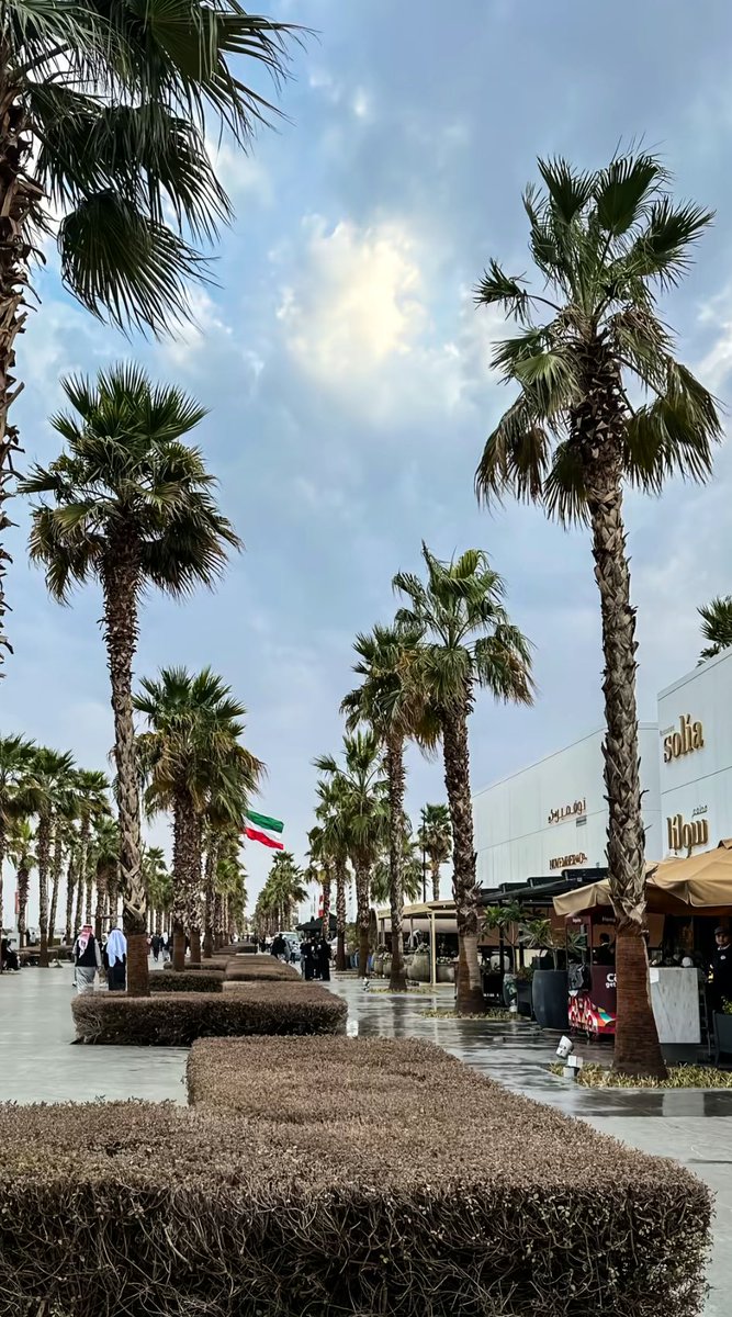 ASK KUWAIT tweet media