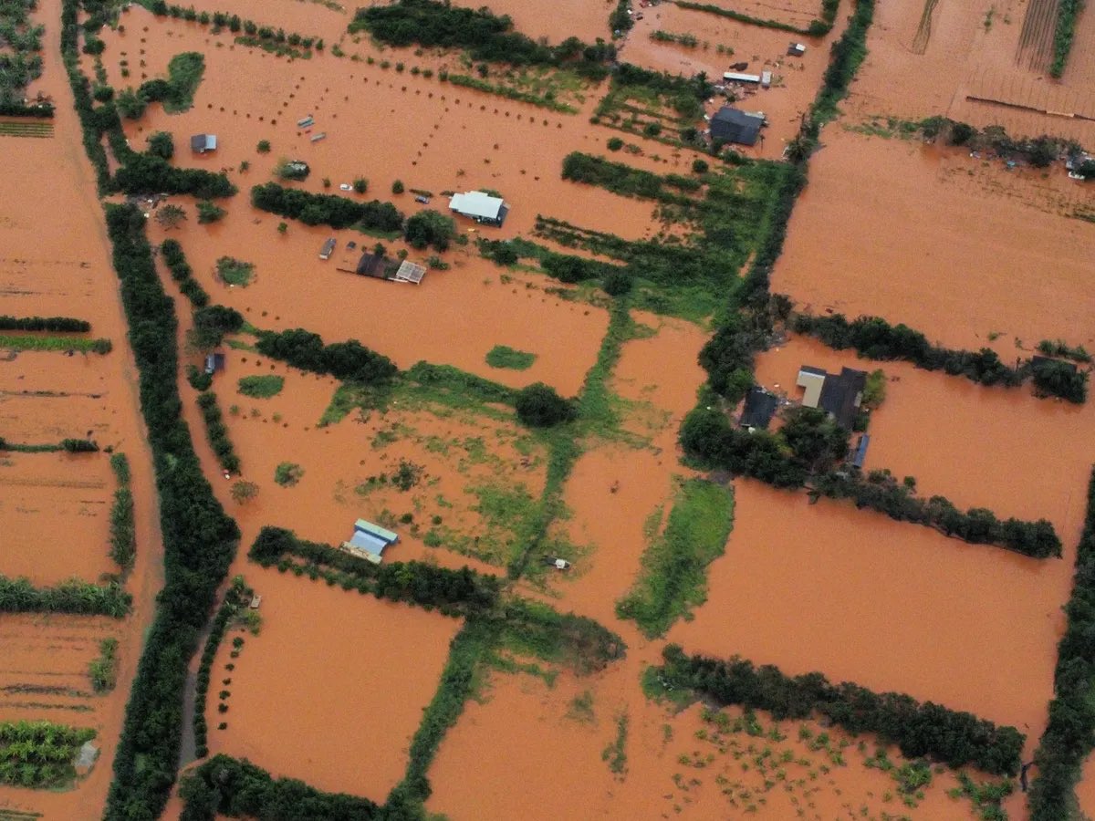 Yuzu🇯🇵🇺🇸🏄♀️ tweet media