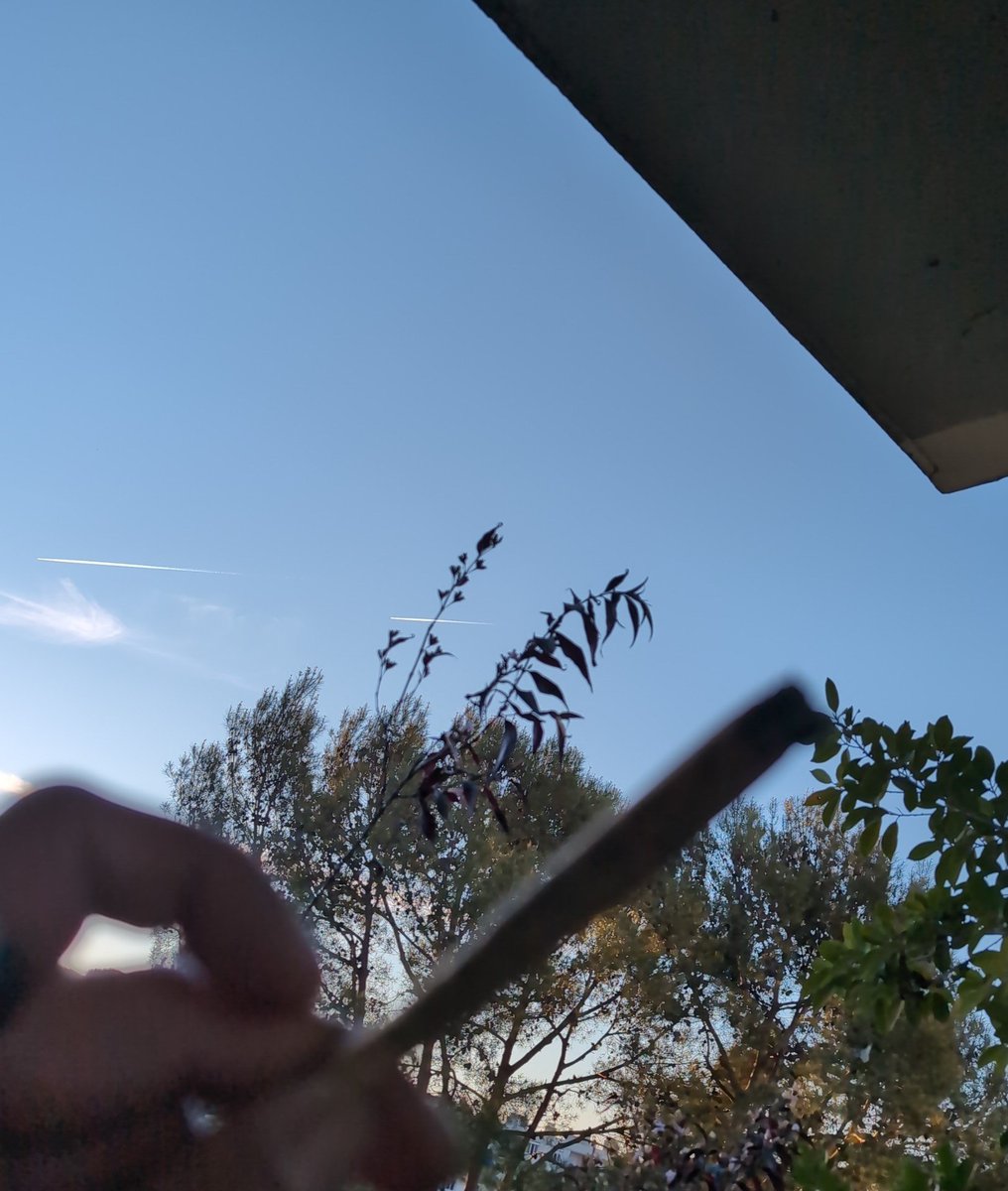 DjBelzebud's tweet image. #Balcon #PlantesBalcon #WeedLovers
#JointTime #CannabisChill #StonedVibes #Herbe  #smokeweedeveryday
