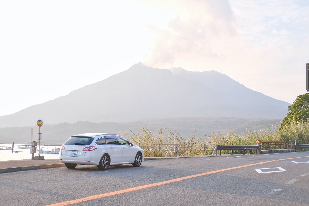 ミクラ tweet media