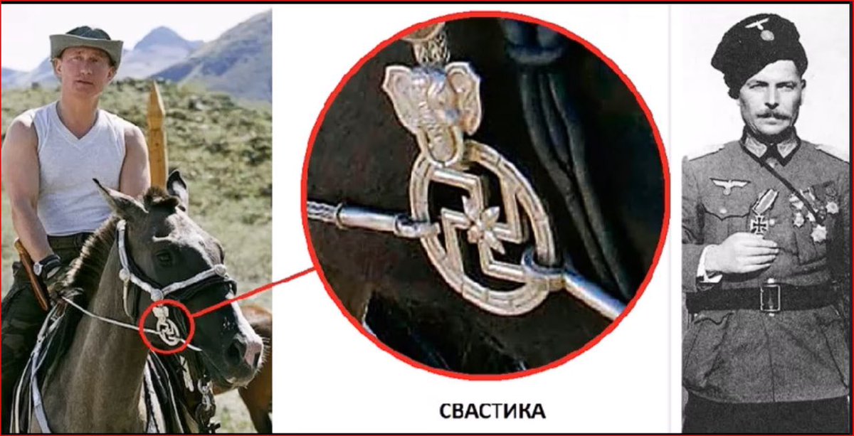 𝕄𝕖𝕠𝕨𝕝𝕝𝕚𝕠𝕟 tweet media