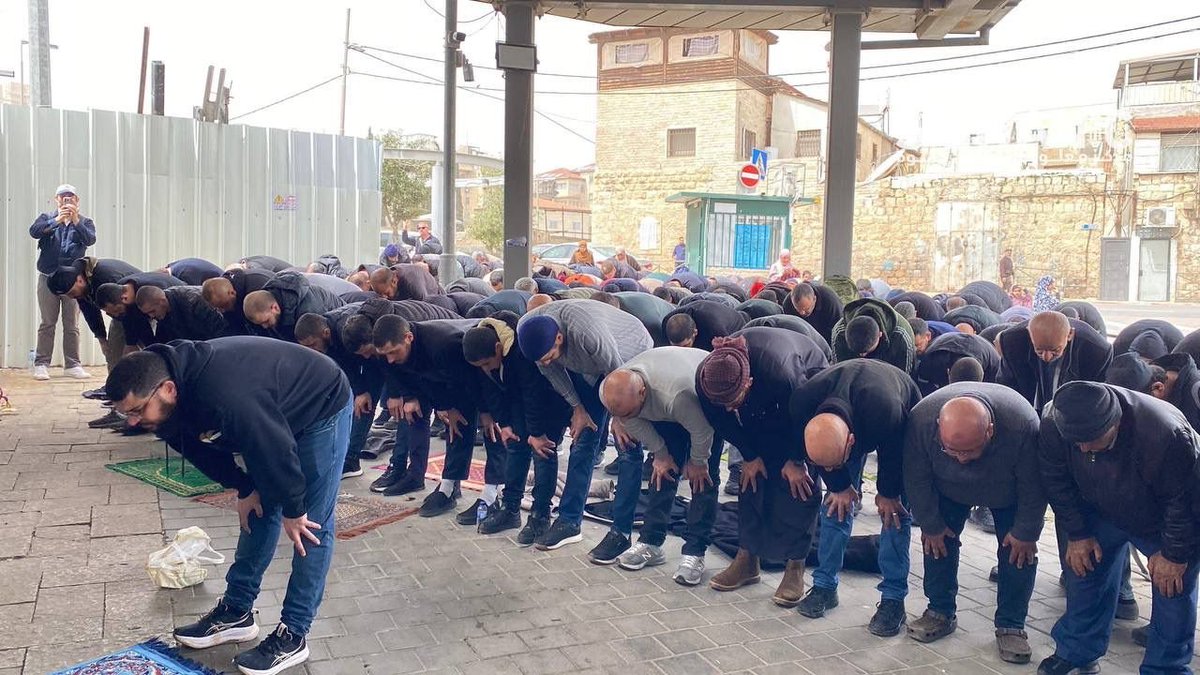 Fadel Soliman فاضل سليمان tweet media