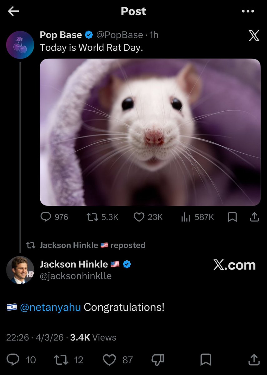 Ana Escobar tweet media