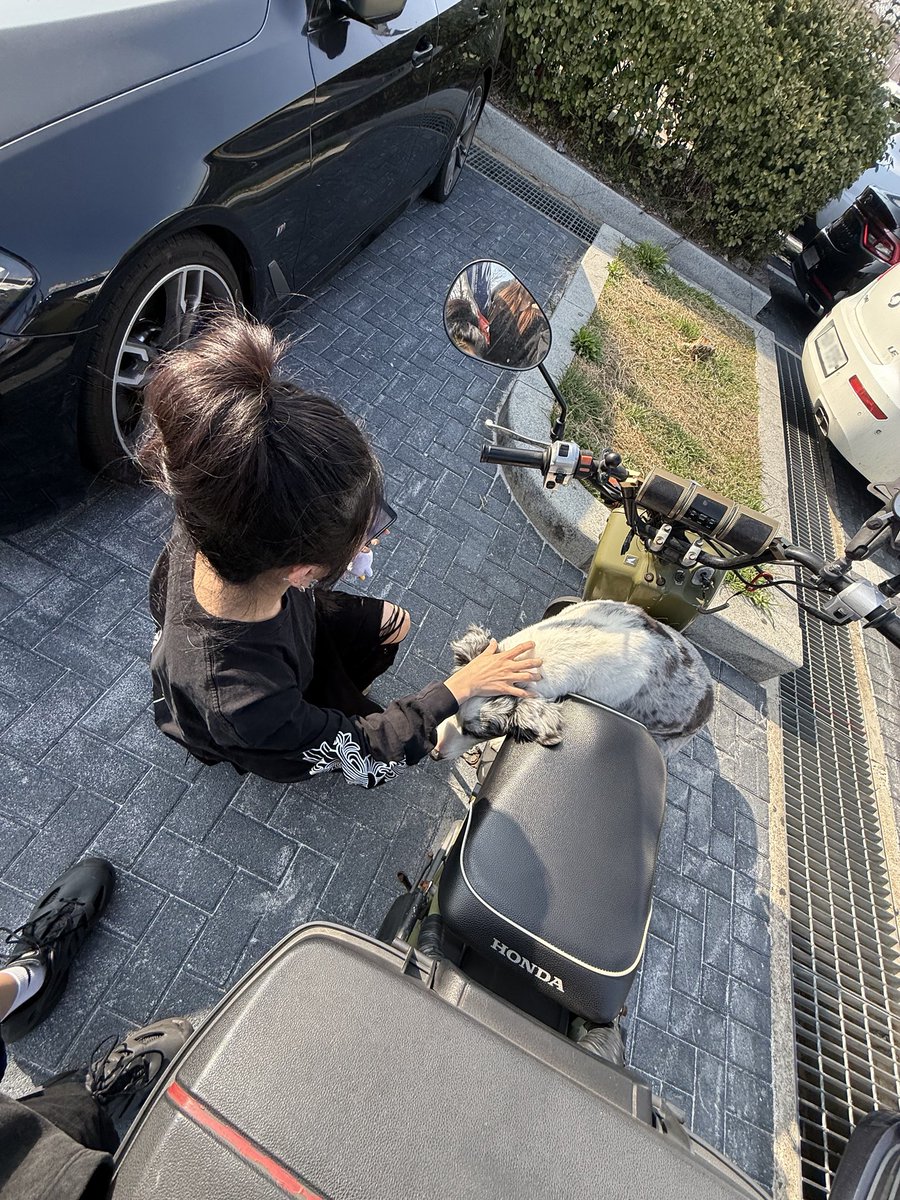 BADVILLAIN tweet media