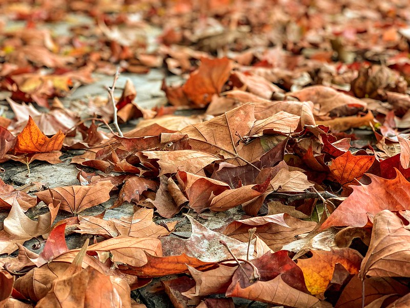 Don Fabio Marongiu tweet media