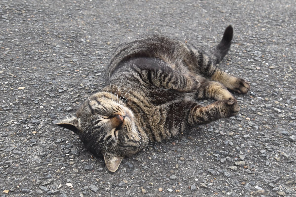 南野哲志（なんのさとし）／南野クラフト建築設計室 tweet media