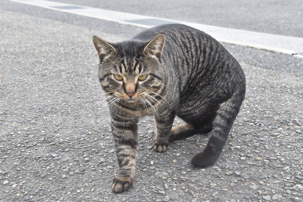 南野哲志（なんのさとし）／南野クラフト建築設計室 tweet media