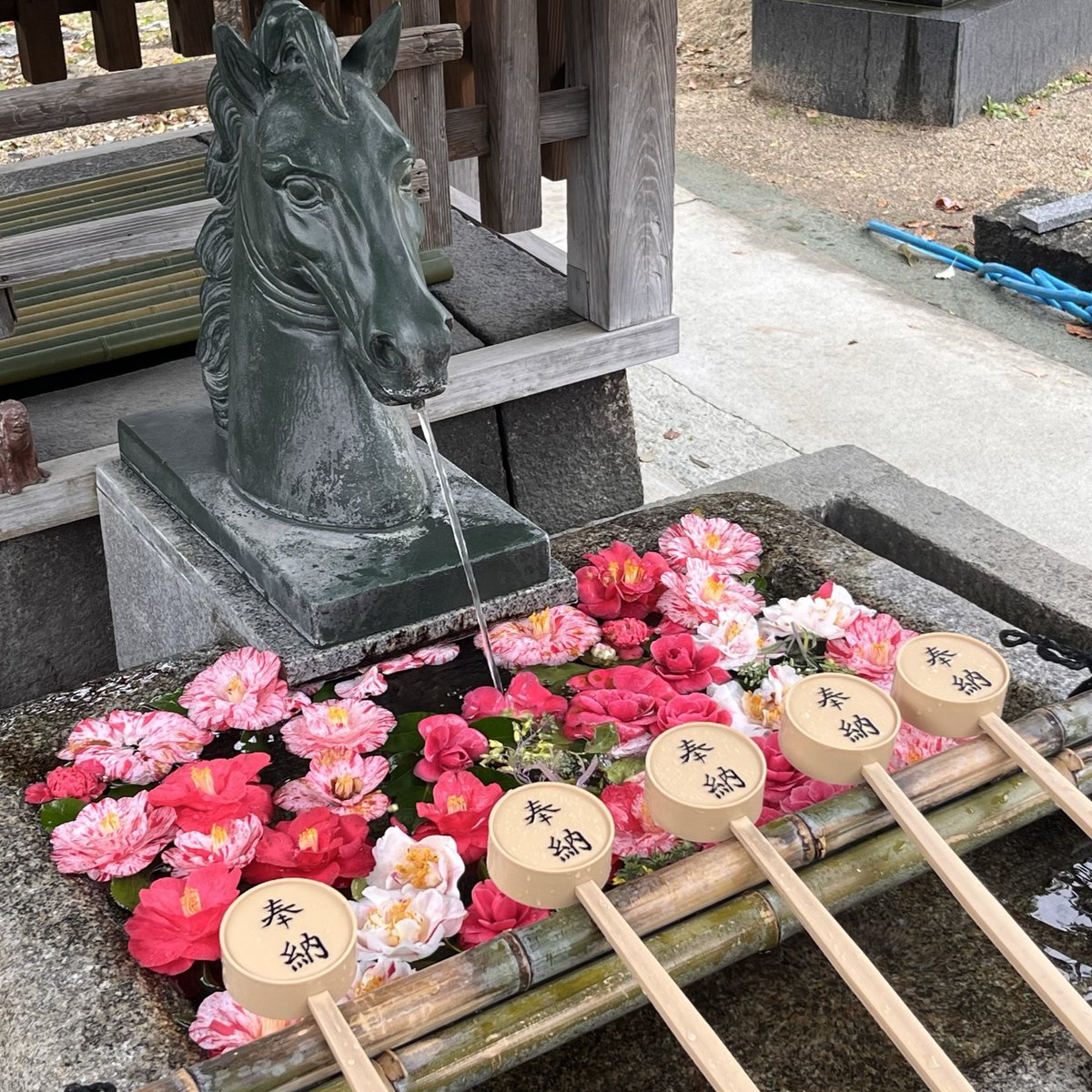 knhwks's tweet photo. 藤森神社のついでにノリで京都競馬場
今年の花見は贅沢だ https://t.co/NFwBugjyhQ
