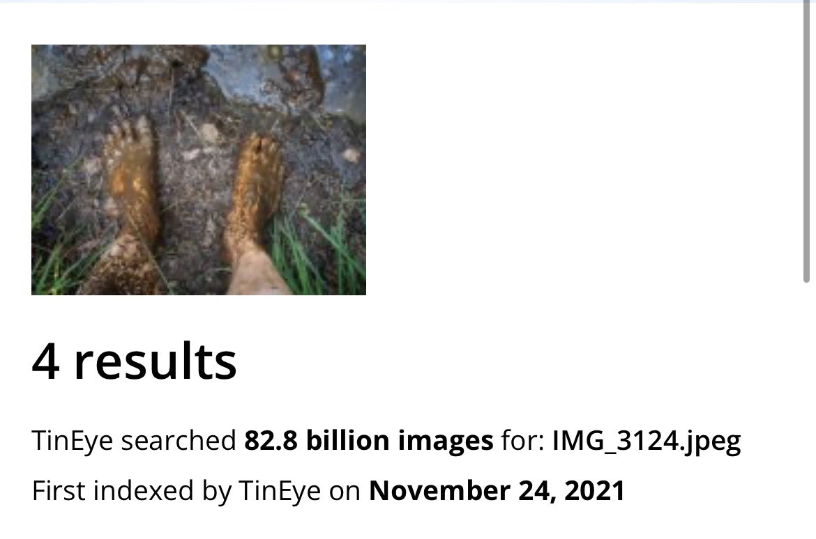 fletcherrrrrrrrr tweet media