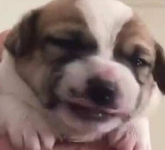 Creo que use demasiado cloro 🤢🤢🤢😖😖