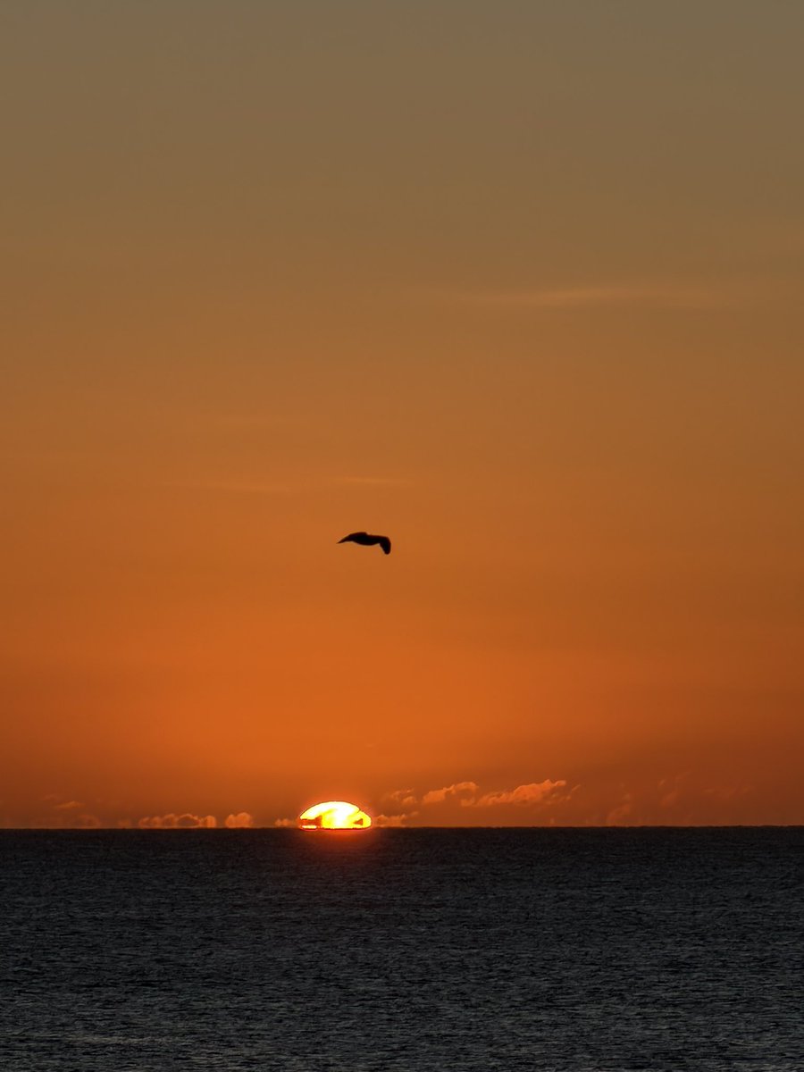 SeaWindowCraster tweet media