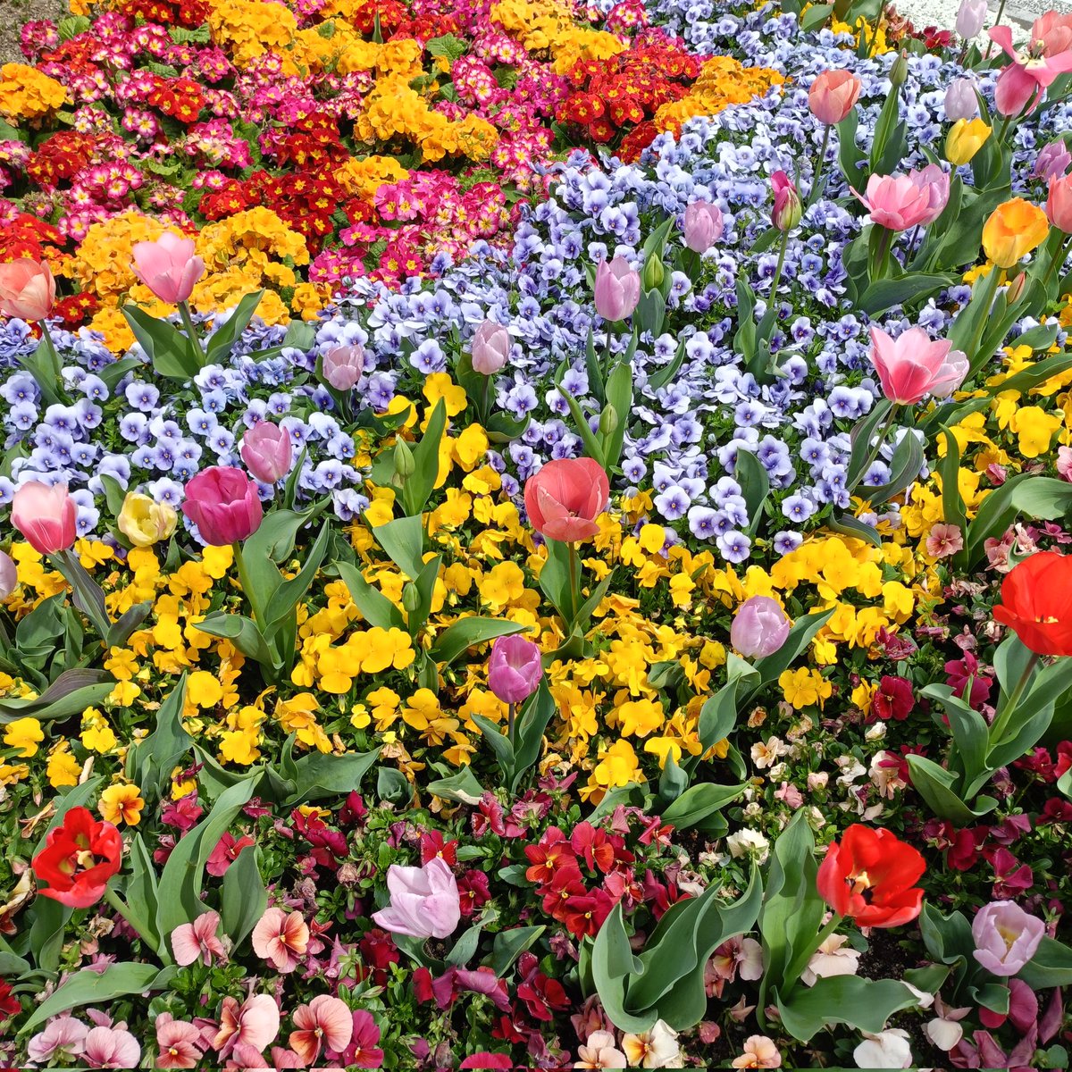 BAR 元紀 tweet media