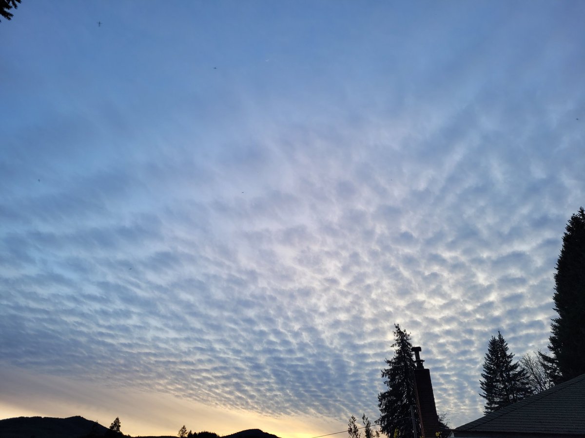 Kathy Hake tweet media